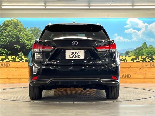 صورة مصغرة 18 لـ 2021 Lexus RX