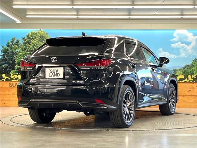 صورة مصغرة 19 لـ 2021 Lexus RX