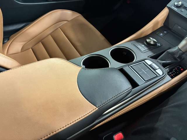 2015 Lexus RC thumbnail 31