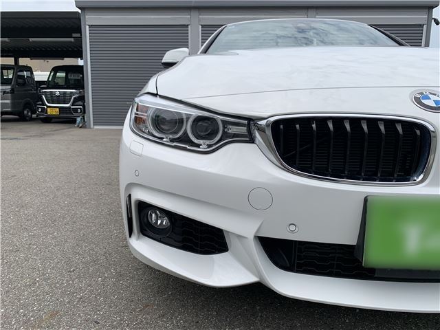 2016 BMW 4 SERIES 缩略图 45