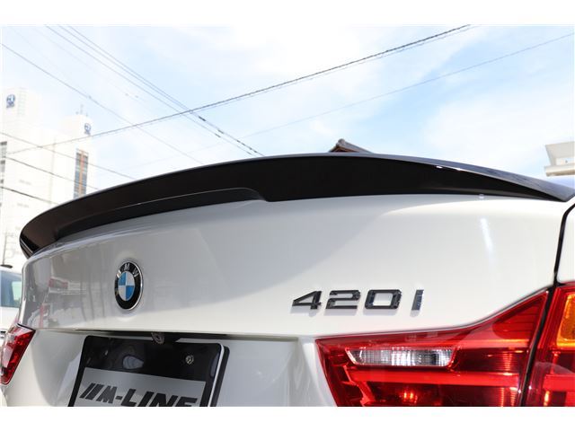 2016 BMW 4 SERIES 缩略图 19