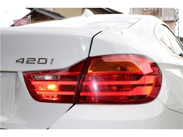 2017 BMW 4 SERIES 缩略图 19