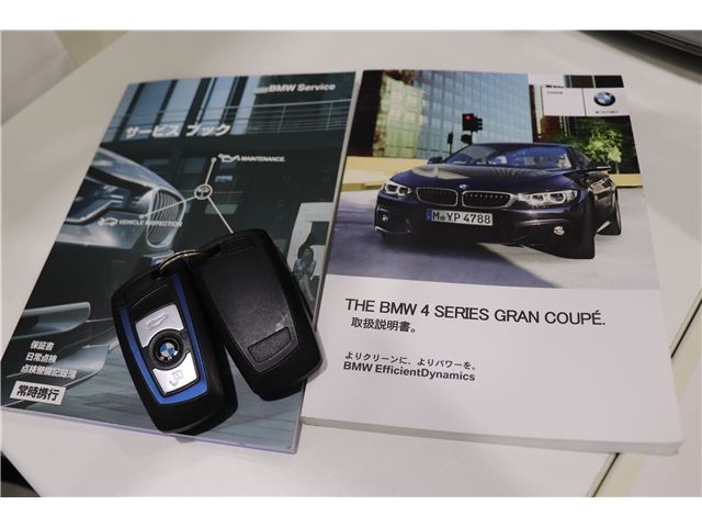 2017 BMW 4 SERIES 缩略图 79