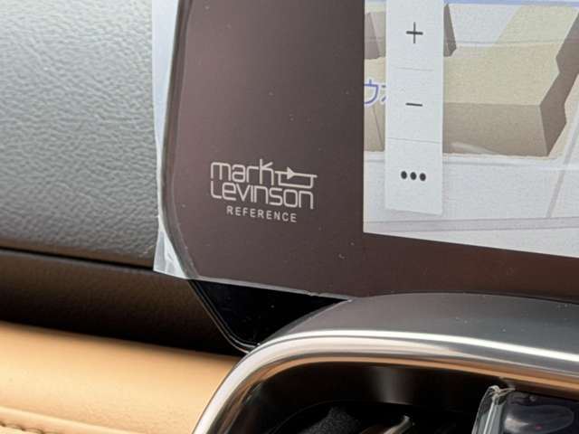 2025 Lexus LX — миниатюра 22