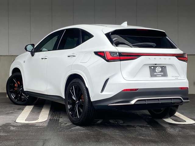 2024 Lexus NX — миниатюра 15