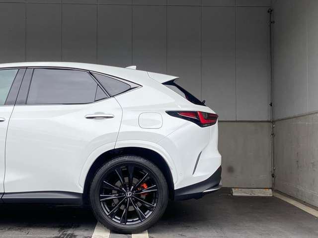 2024 Lexus NX — миниатюра 18