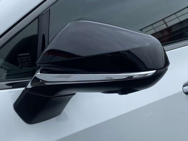 2024 Lexus NX — миниатюра 68