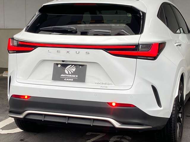 2024 Lexus NX — миниатюра 69