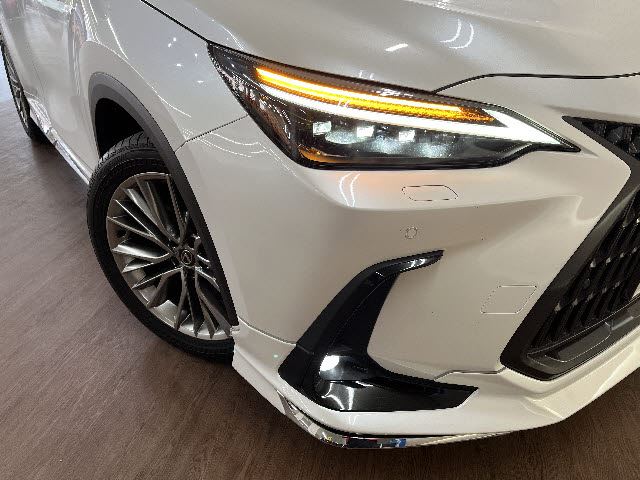 2023 Lexus NX — миниатюра 25
