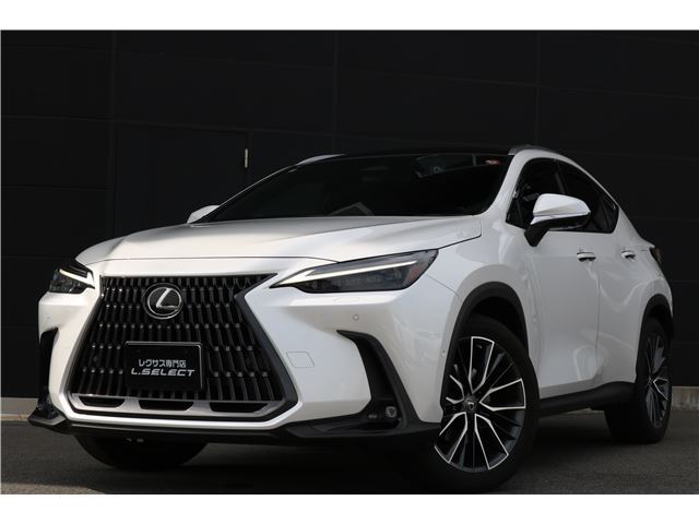 2022 Lexus NX — фото 1
