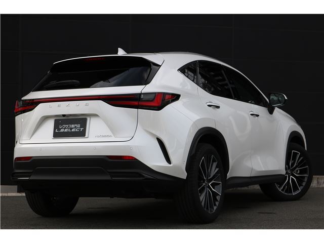2022 Lexus NX — фото 2