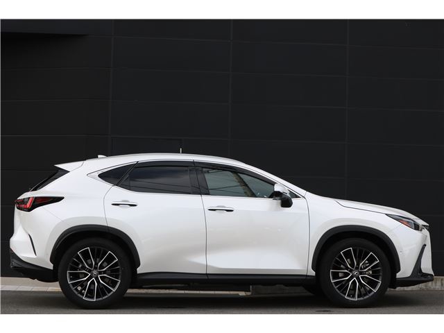 2022 Lexus NX — фото 9
