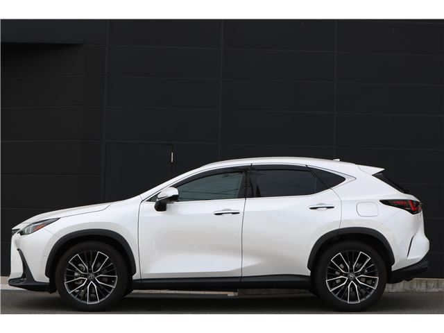 2022 Lexus NX — фото 8