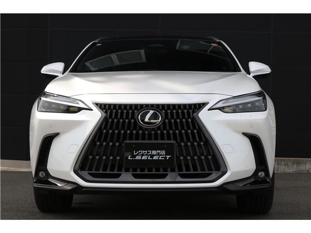 2022 Lexus NX — фото 6