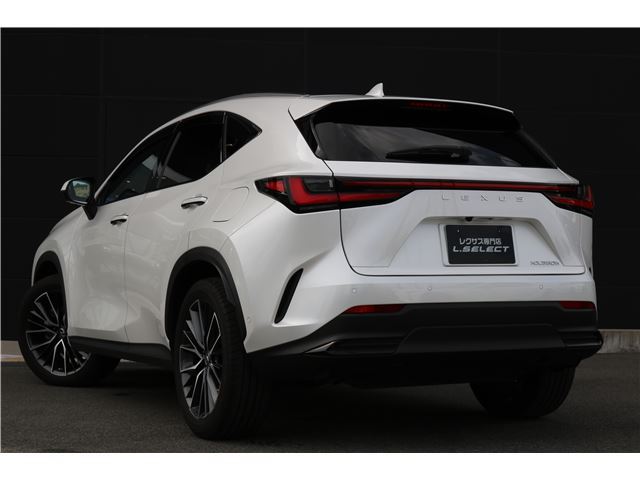 2022 Lexus NX — фото 5