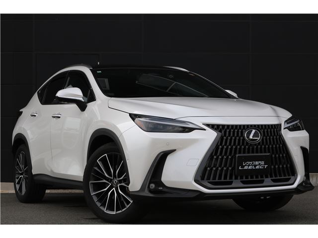 2022 Lexus NX — фото 4