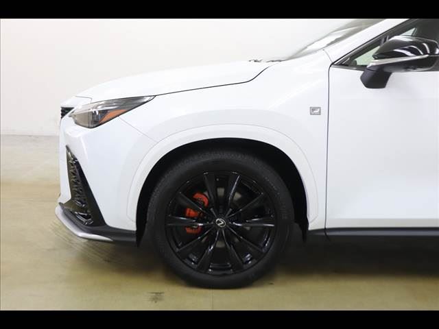 2023 Lexus NX — миниатюра 48
