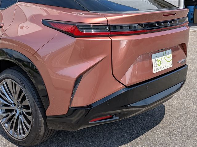 صورة مصغرة 16 لـ 2023 Lexus RZ