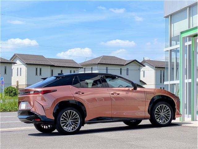 صورة مصغرة 24 لـ 2023 Lexus RZ