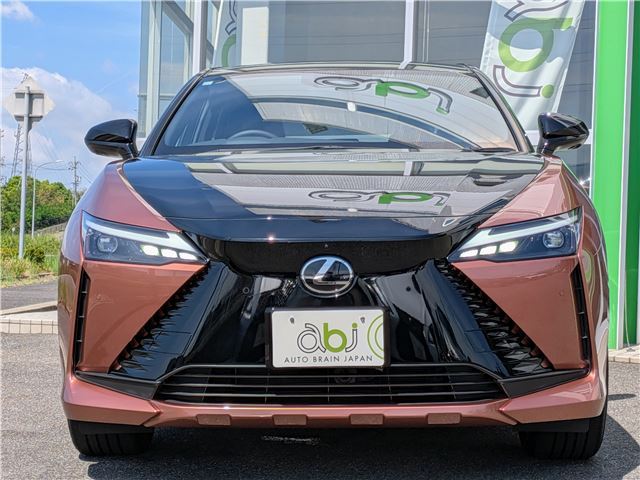 صورة مصغرة 33 لـ 2023 Lexus RZ