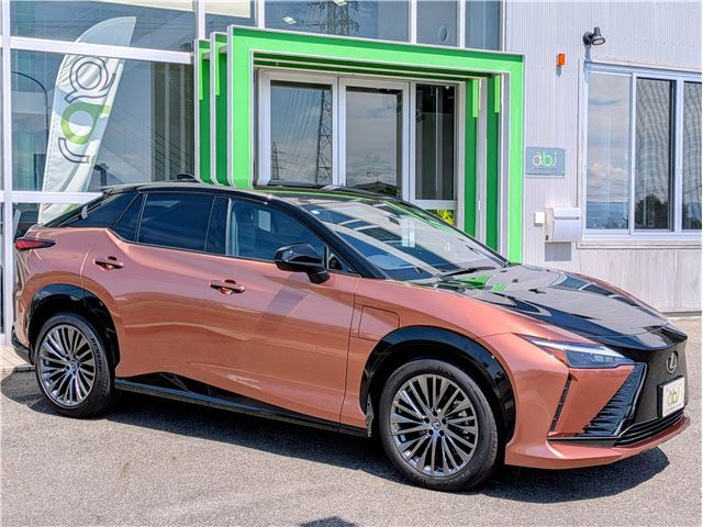 صورة مصغرة 34 لـ 2023 Lexus RZ