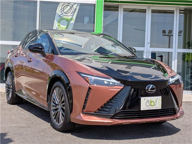 صورة مصغرة 35 لـ 2023 Lexus RZ