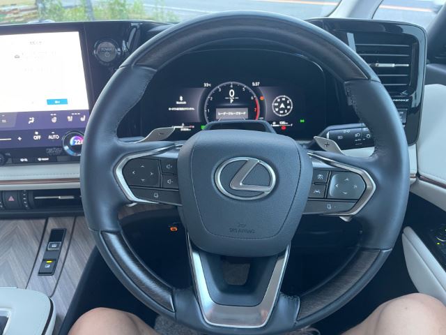 2025 Lexus LM thumbnail 12