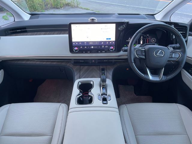 2025 Lexus LM thumbnail 11