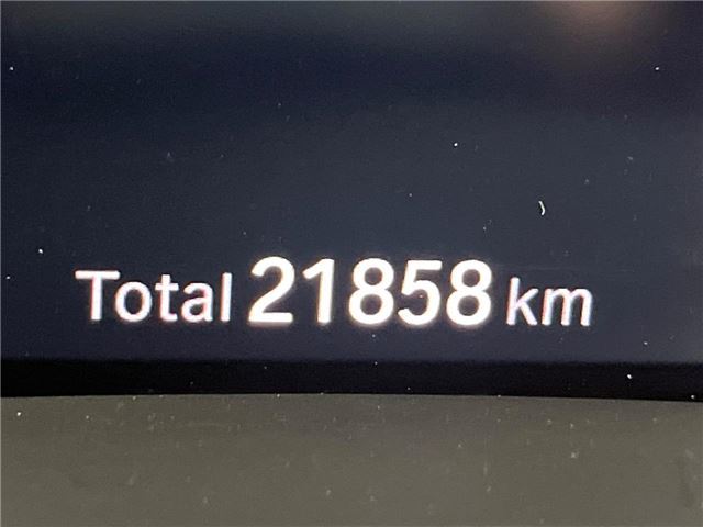 2021 BMW X7 照片 3