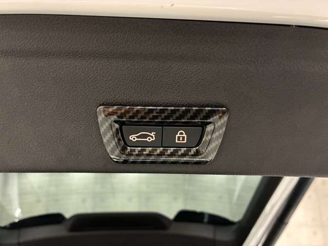 صورة مصغرة 66 لـ 2020 BMW X6