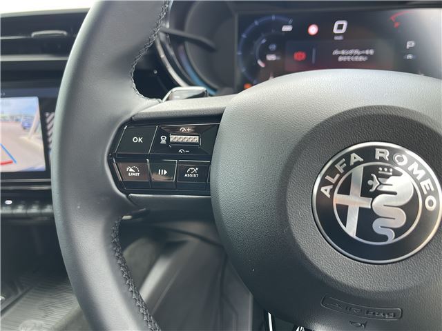 2025 ALFA Romeo JUNIOR 缩略图 51