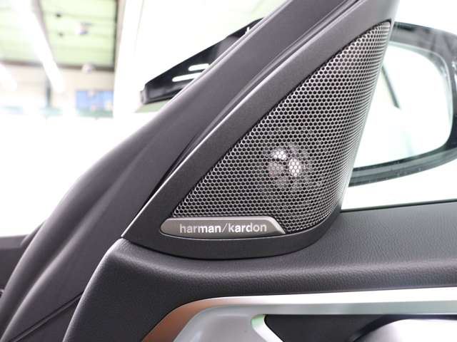 2021 BMW 4 SERIES GRAN COUPE 缩略图 11