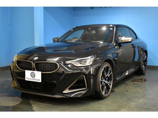 2022 BMW 2 SERIES COUPE — миниатюра 63