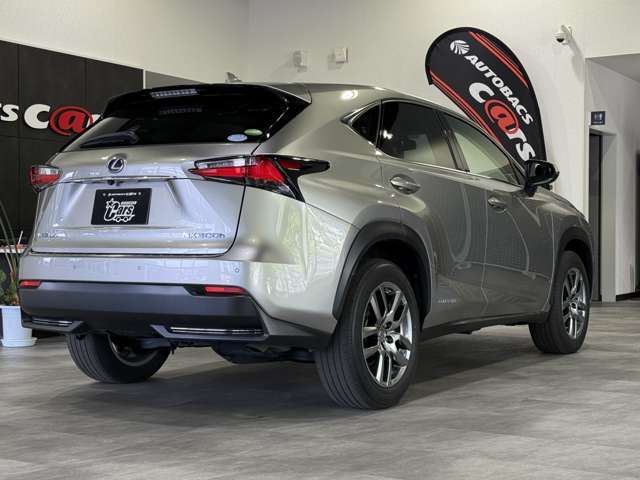2014 Lexus NX — фото 3