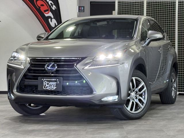 2014 Lexus NX — фото 2