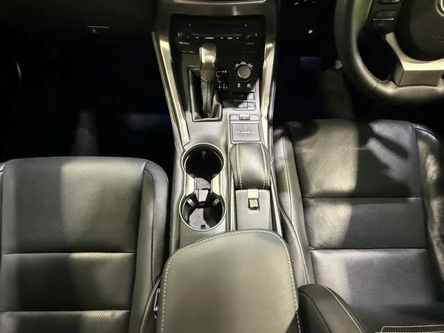 2014 Lexus NX 缩略图 17