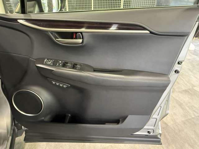 2014 Lexus NX 缩略图 24