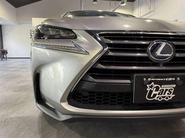 2014 Lexus NX 缩略图 38