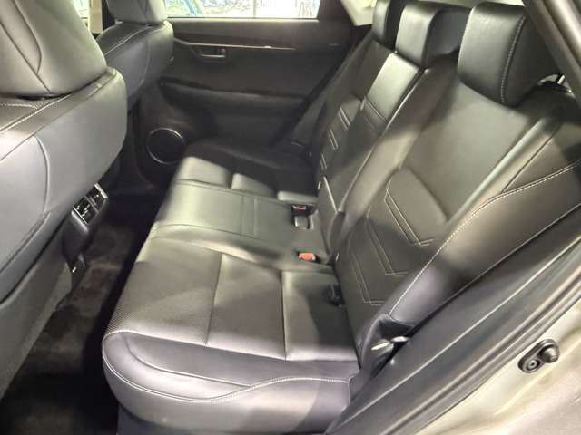 2014 Lexus NX 缩略图 51