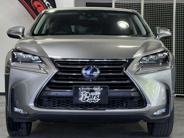 2014 Lexus NX — фото 4