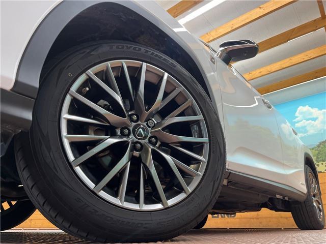 2019 Lexus RX thumbnail 12