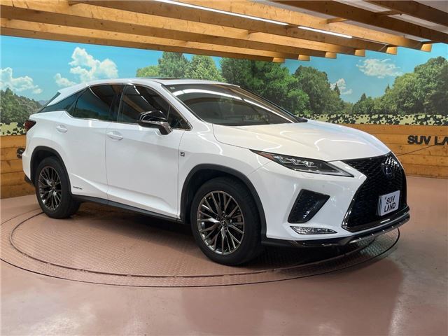 2019 Lexus RX thumbnail 19