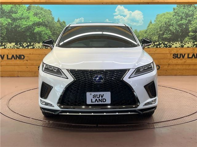 2019 Lexus RX thumbnail 20