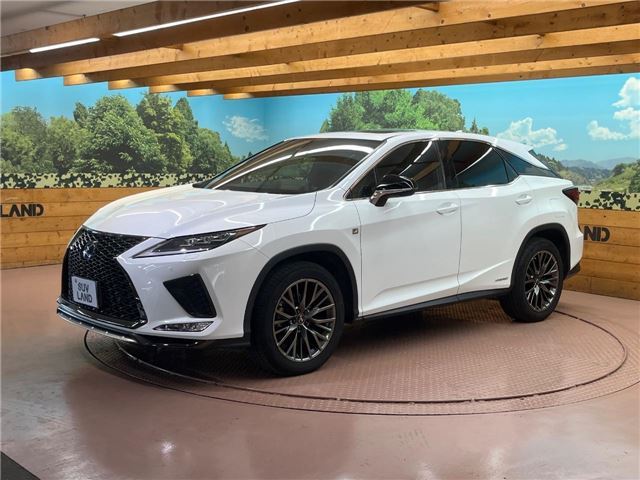 2019 Lexus RX thumbnail 21