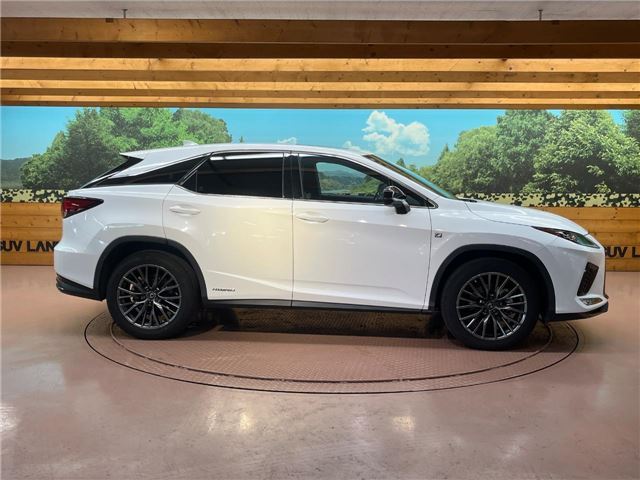 2019 Lexus RX thumbnail 22