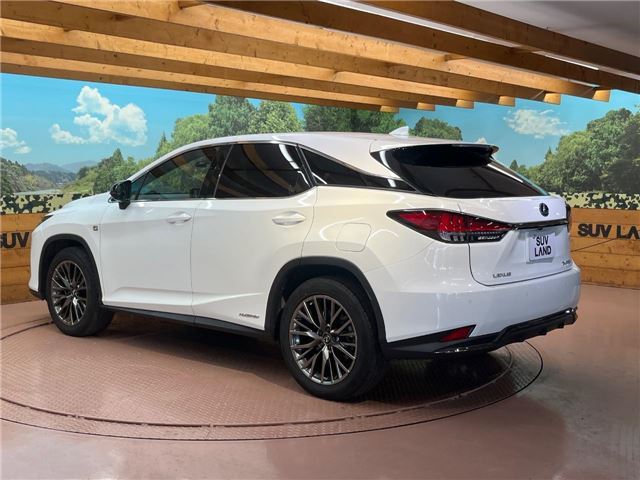 2019 Lexus RX thumbnail 23
