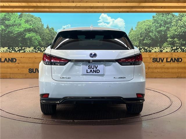 2019 Lexus RX thumbnail 24