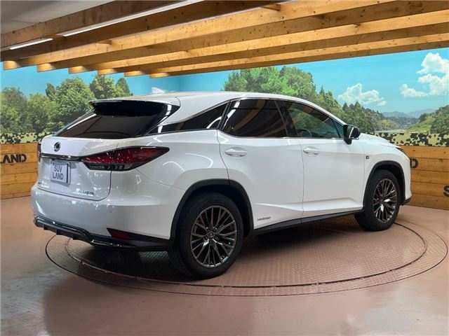 2019 Lexus RX thumbnail 25