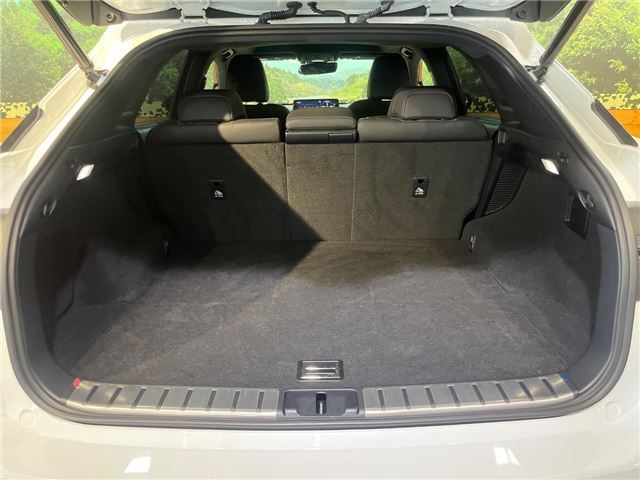 2019 Lexus RX thumbnail 29
