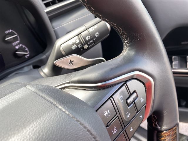 صورة مصغرة 29 لـ 2023 Lexus LX
